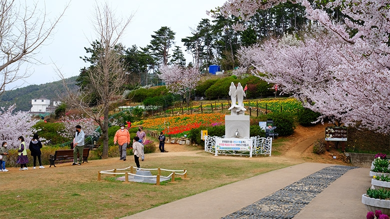 장승포항 바다와 벚꽃이 만나는 곳, 포포로드