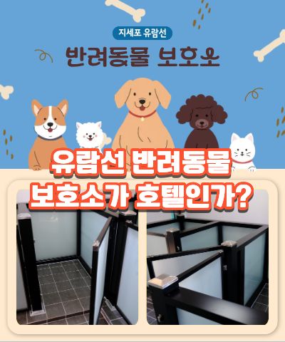 반려동물 보호소 안내