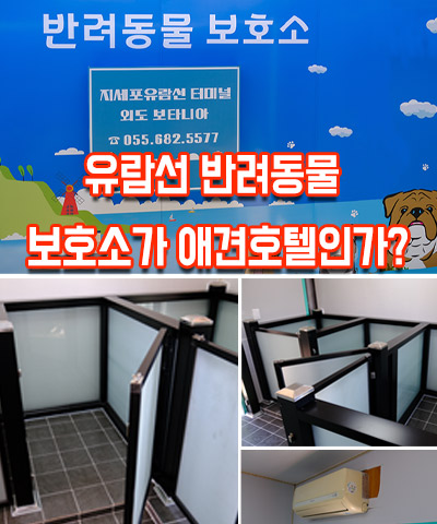 반려동물 보호소 안내