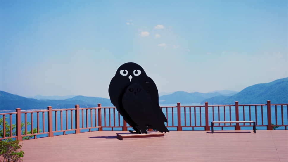 갤러리 이미지