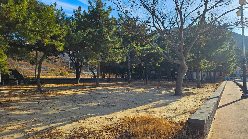 갤러리 이미지