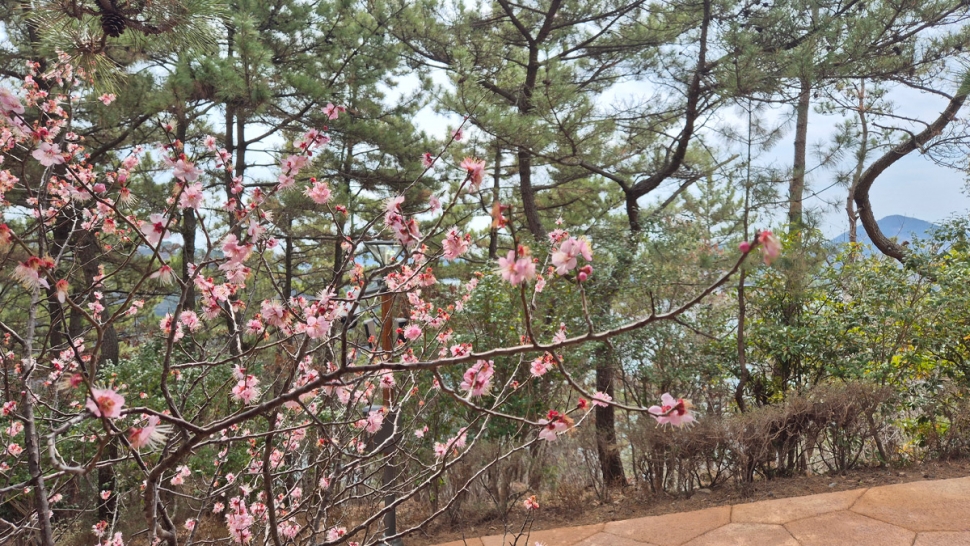 갤러리 이미지
