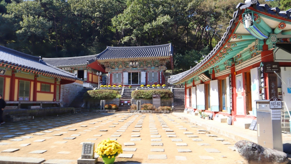 갤러리 이미지
