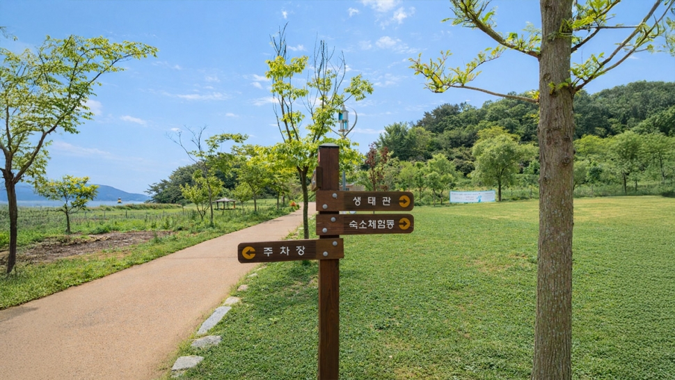 갤러리 이미지