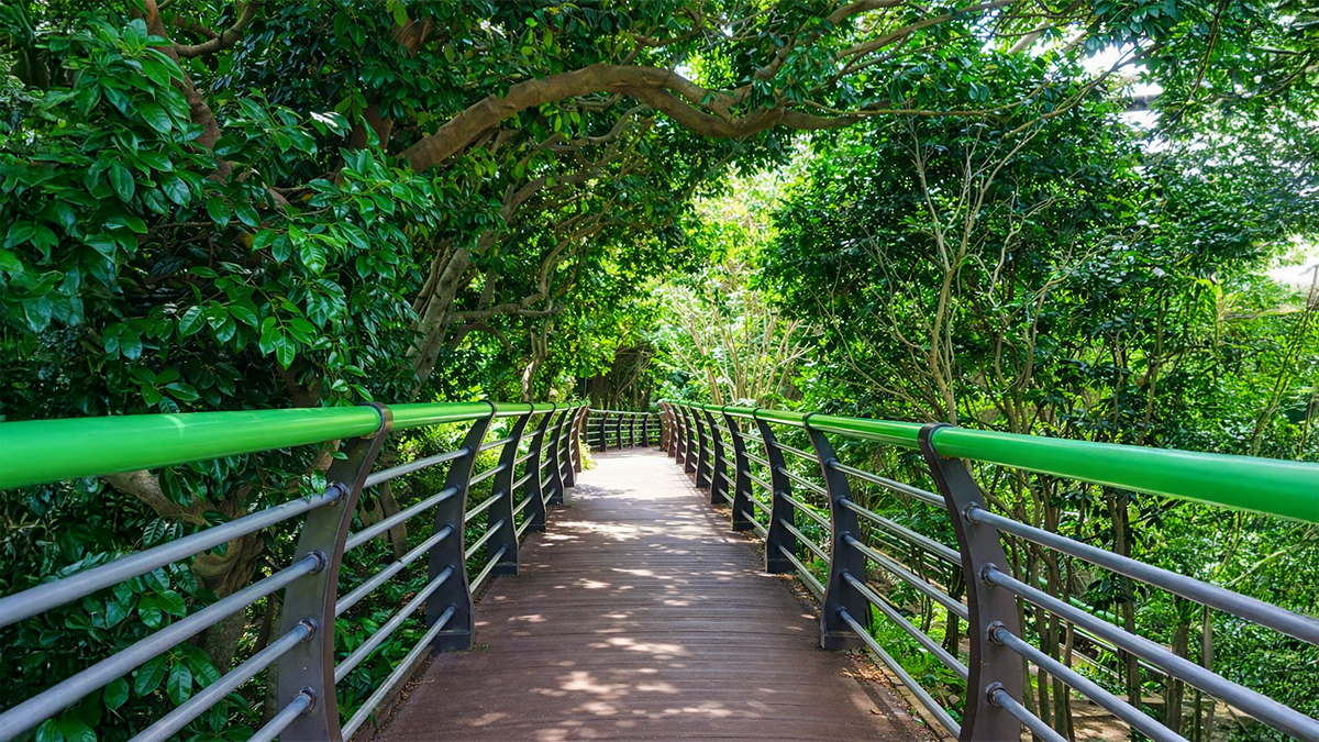 나무 데크 산책로