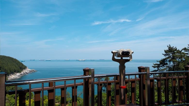 포포로드 드라이브