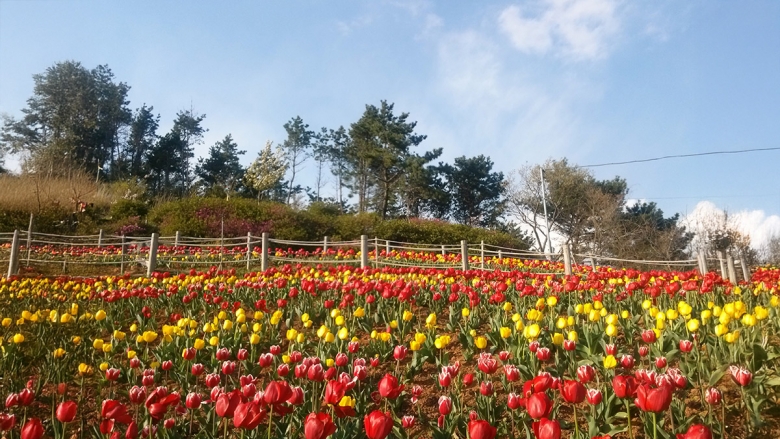 계절마다 꽃 피는 정원