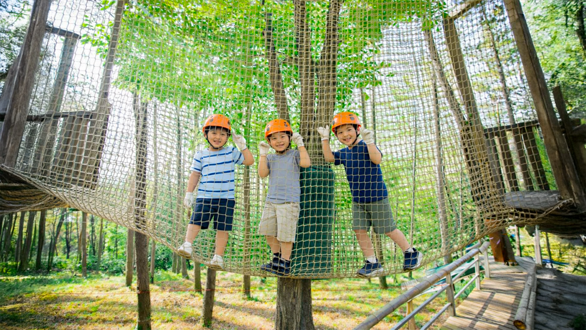 맹종죽 모험의 숲