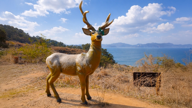 사슴 보고, 세끼 든든한 밥상까지