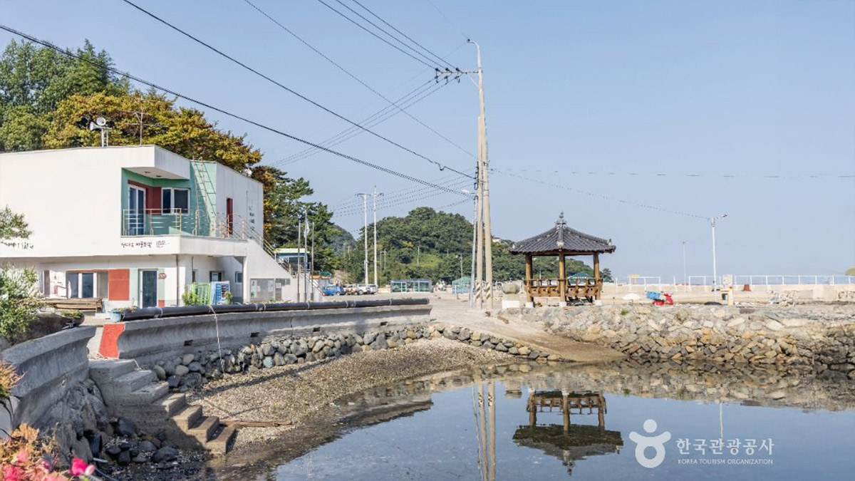 에코 아일랜드 연대도