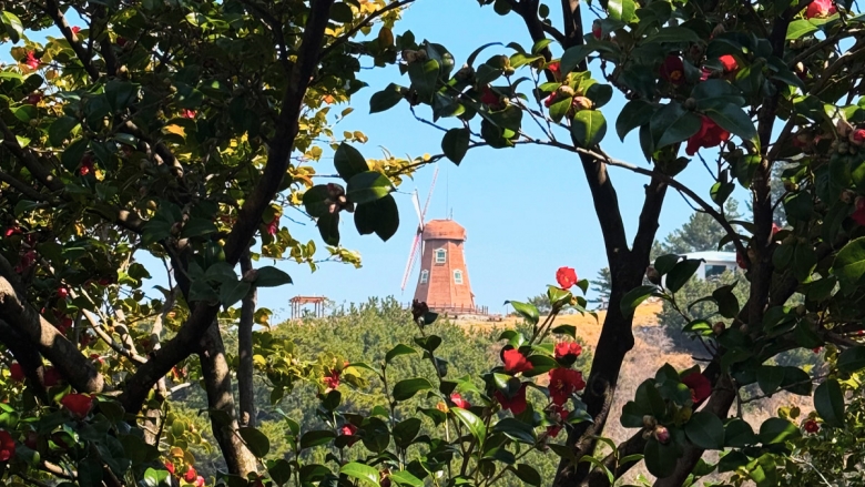 방문 꿀팁 & 주의사항