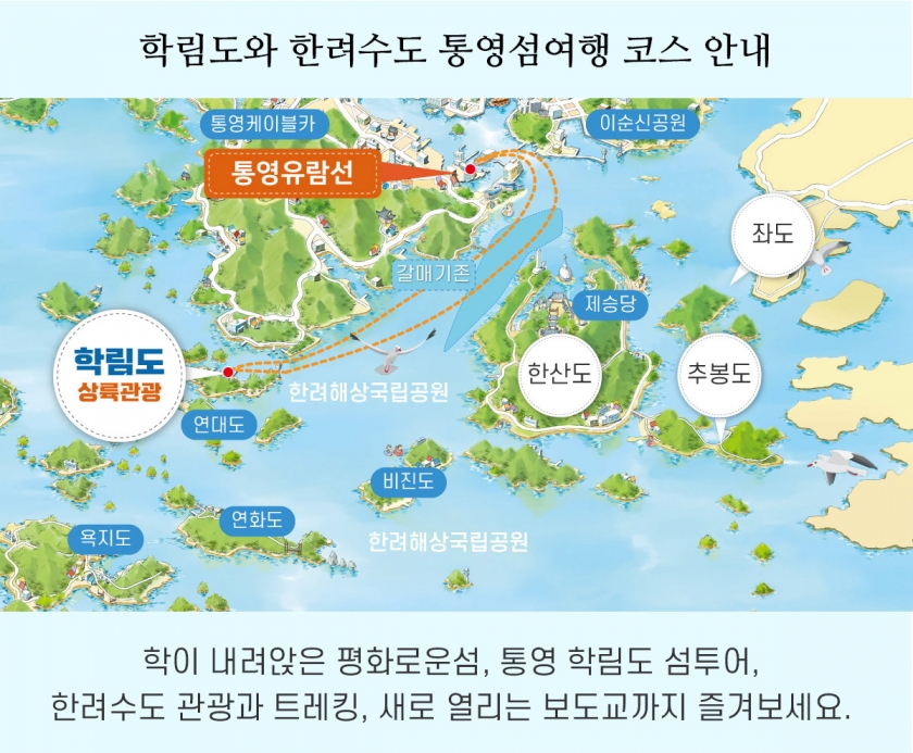 코스안내