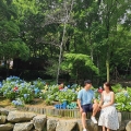 블로그 썸네일