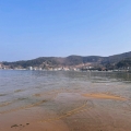 블로그 썸네일
