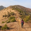 블로그 썸네일