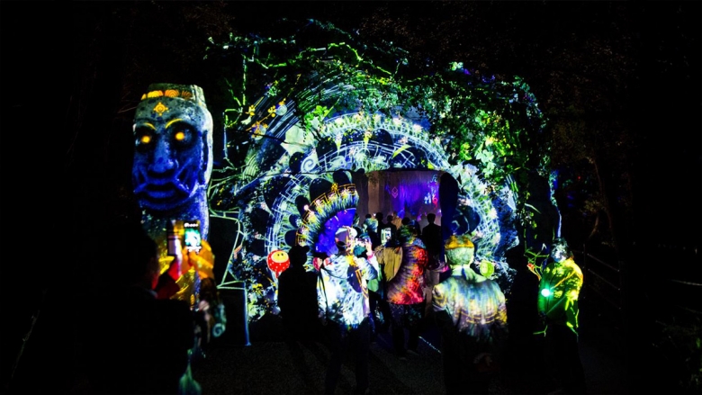 밤하늘 아래 빛나는 테마파크