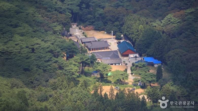 미륵산 자락에 숨은 천년 고찰 용화사